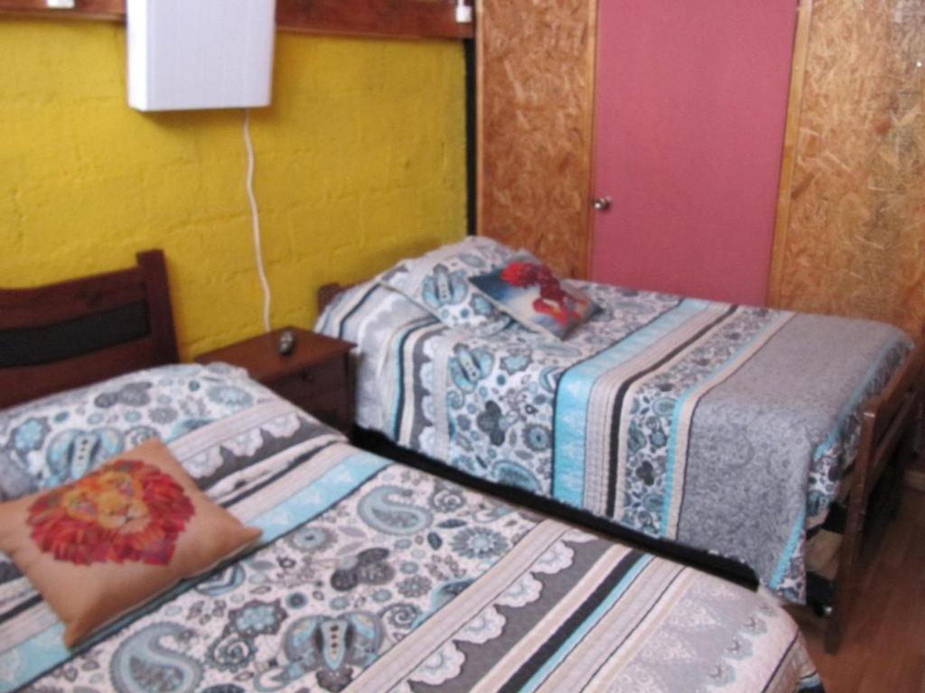 Hospedaje Los Cipreses Coyhaique Ngoại thất bức ảnh